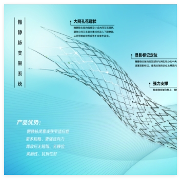天鴻盛捷 髂靜脈支架系統(tǒng) VM-SS-10-060-D08